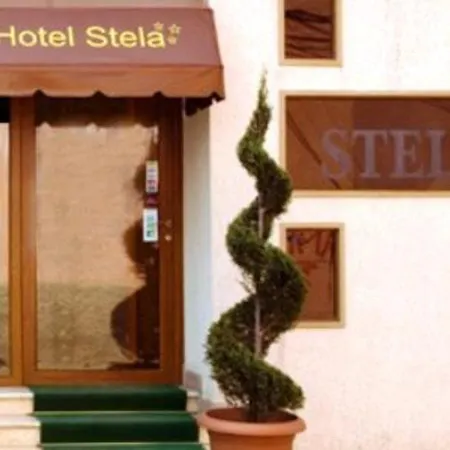 Stela Center