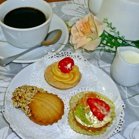 Stela Center Отель