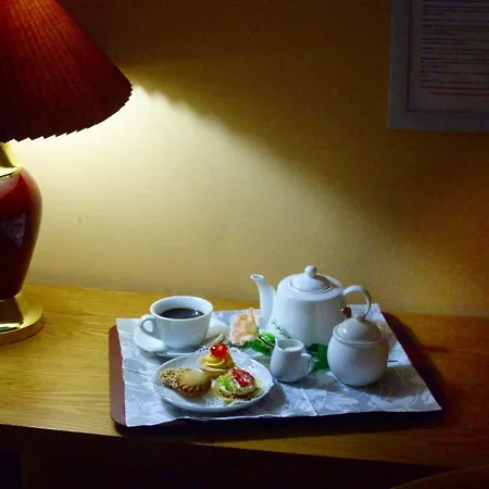 Отель Stela Center 3*