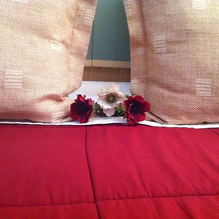 Отель Stela Center 3*