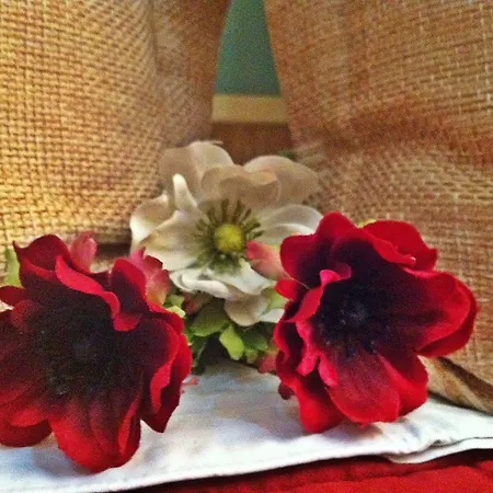 Stela Center Отель