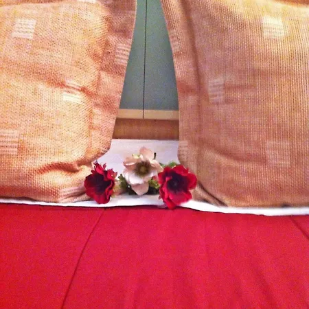 Stela Center Отель 3*