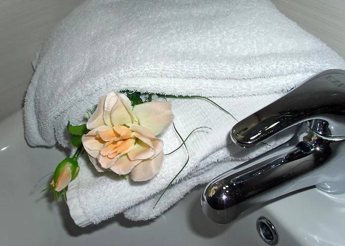 Hotel Stela Center Tirana