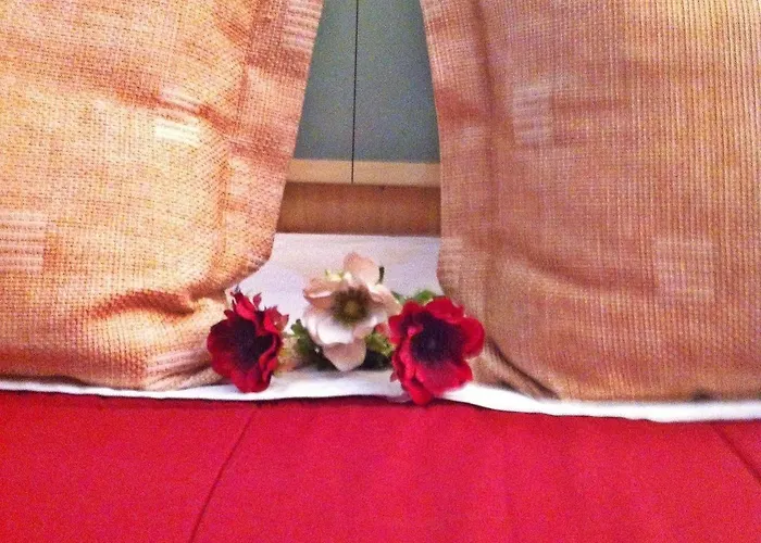 Stela Center Otel 3*